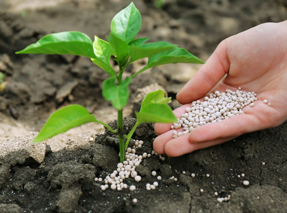 Виды удобрений