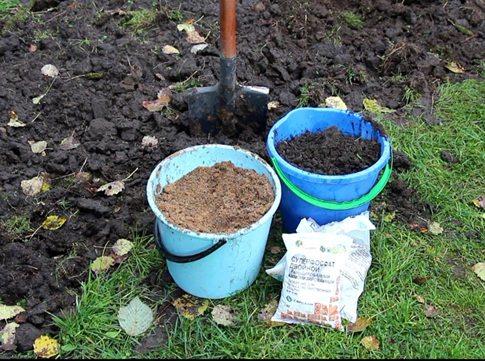 Чем удобрить землю осенью