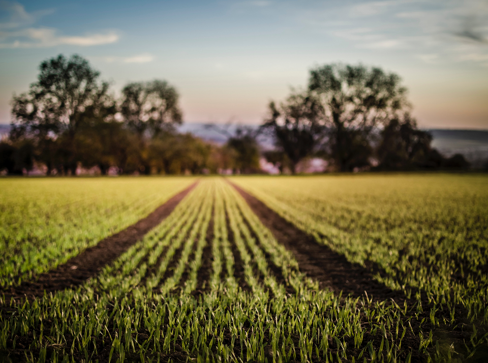 Что такое пашня