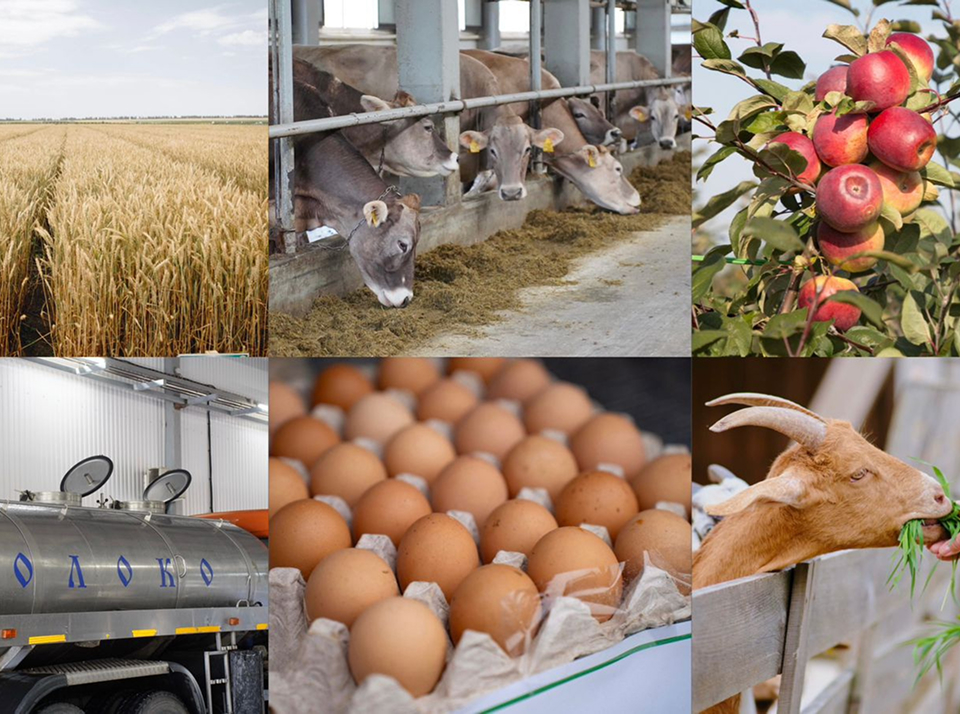 Товарное и потребительское сельское хозяйство