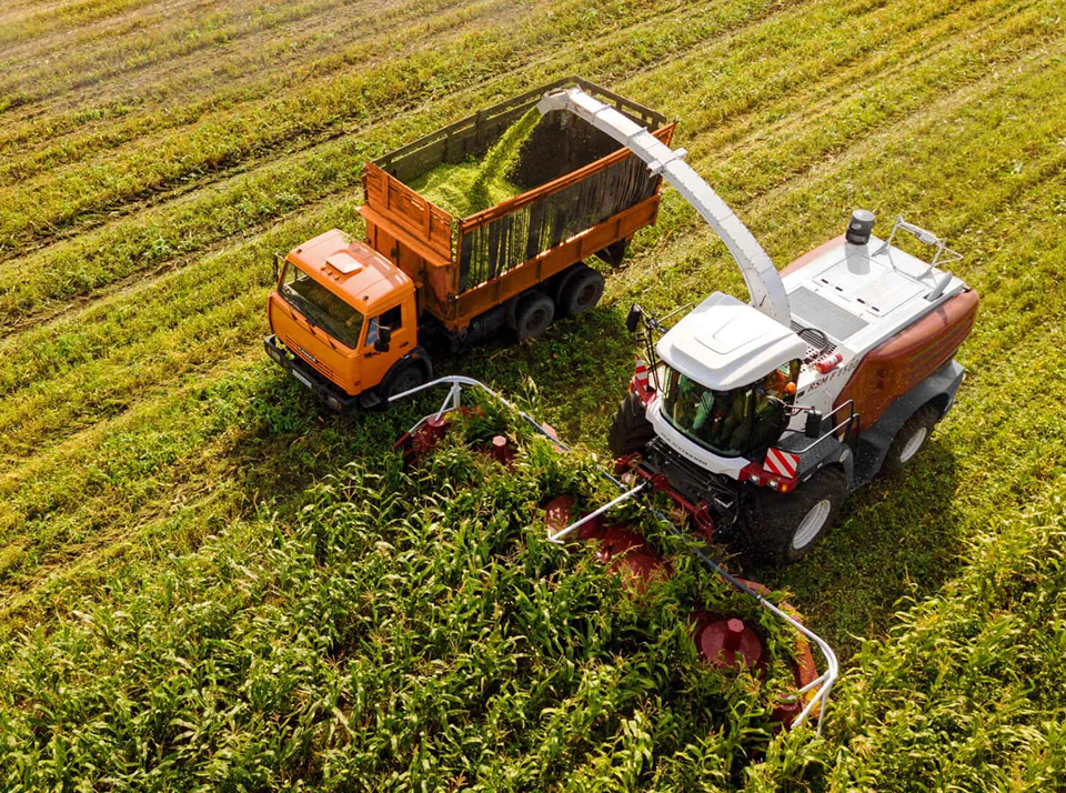 Роль сельского хозяйства в экономике