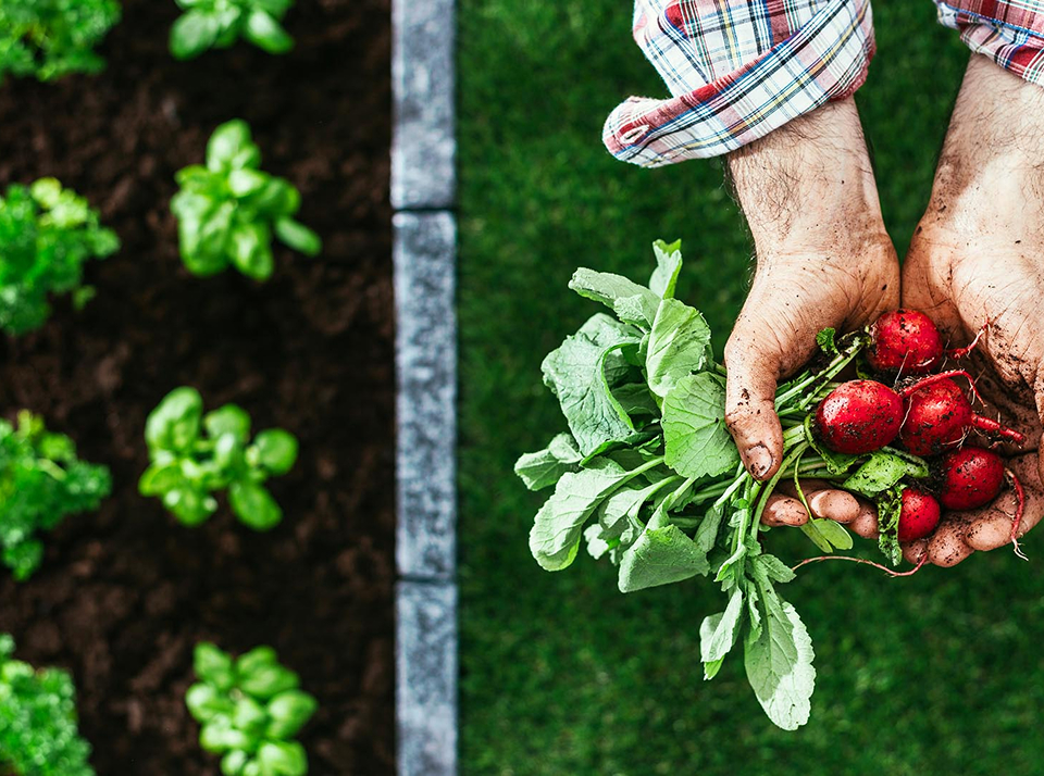 Органический (природный) метод