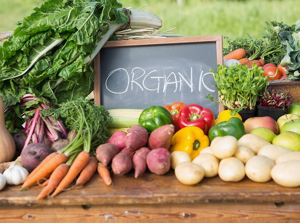 Традиционное и органическое земледелие