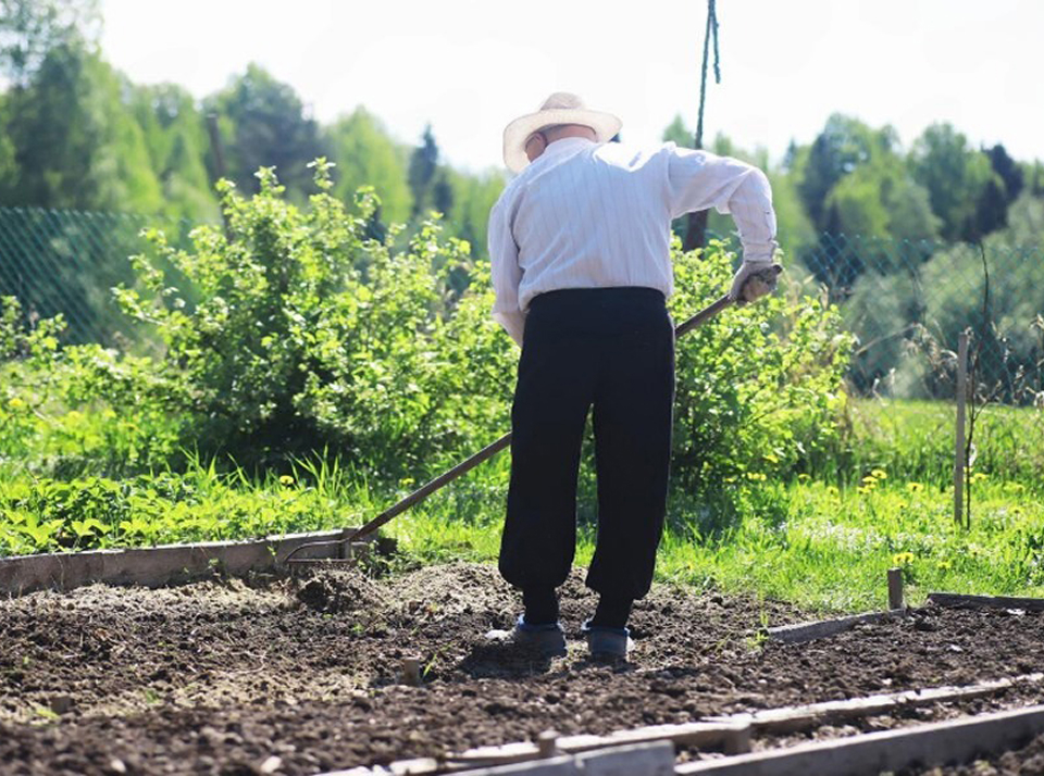Средства для гипсования почвы