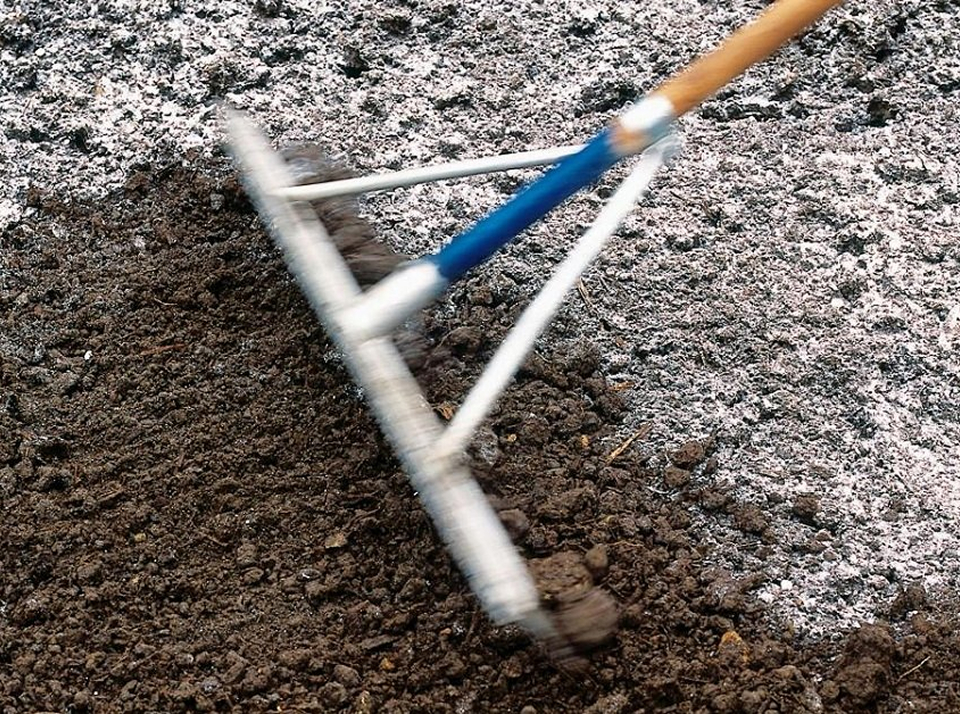 Почвы, нуждающиеся в гипсовании