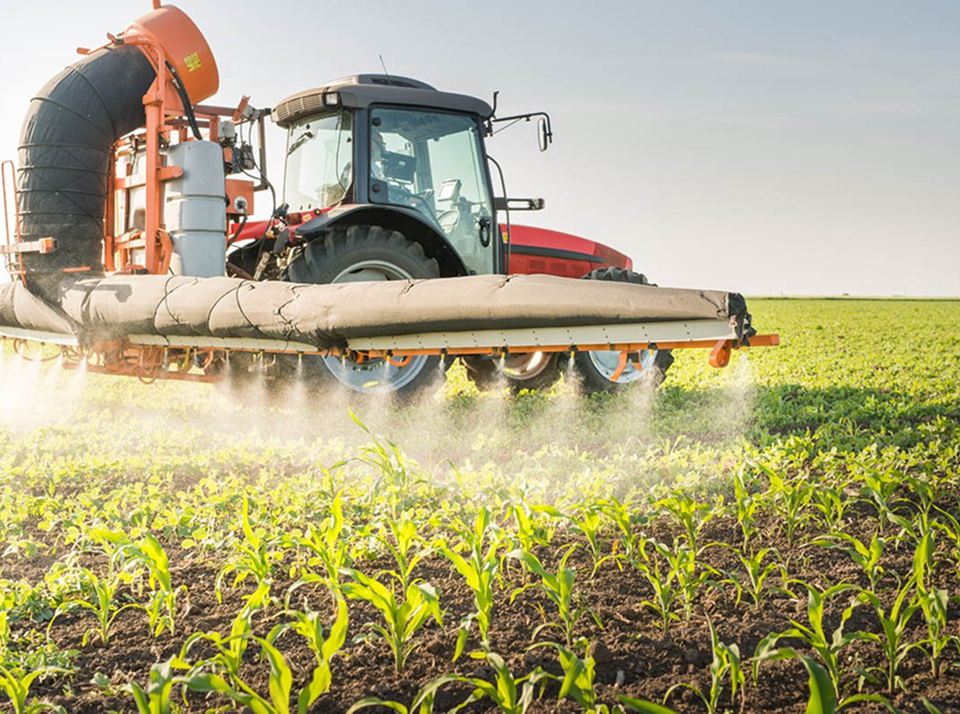 Опасны ли химикаты для урожая