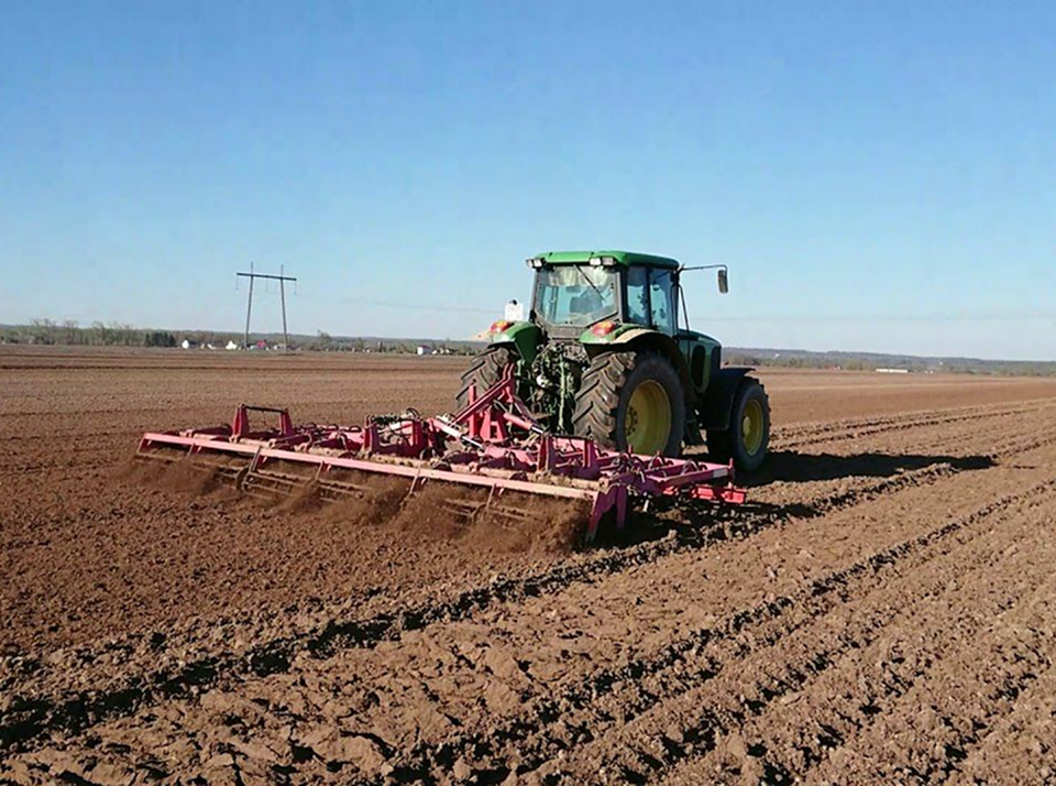 Культивация