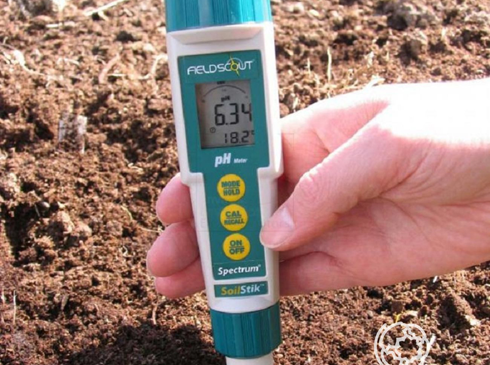 Как определить кислотность почвы