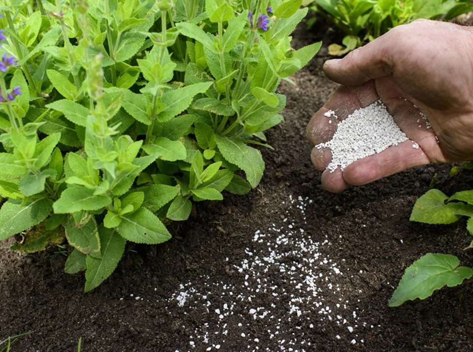 Способы раскисления почвы на полях