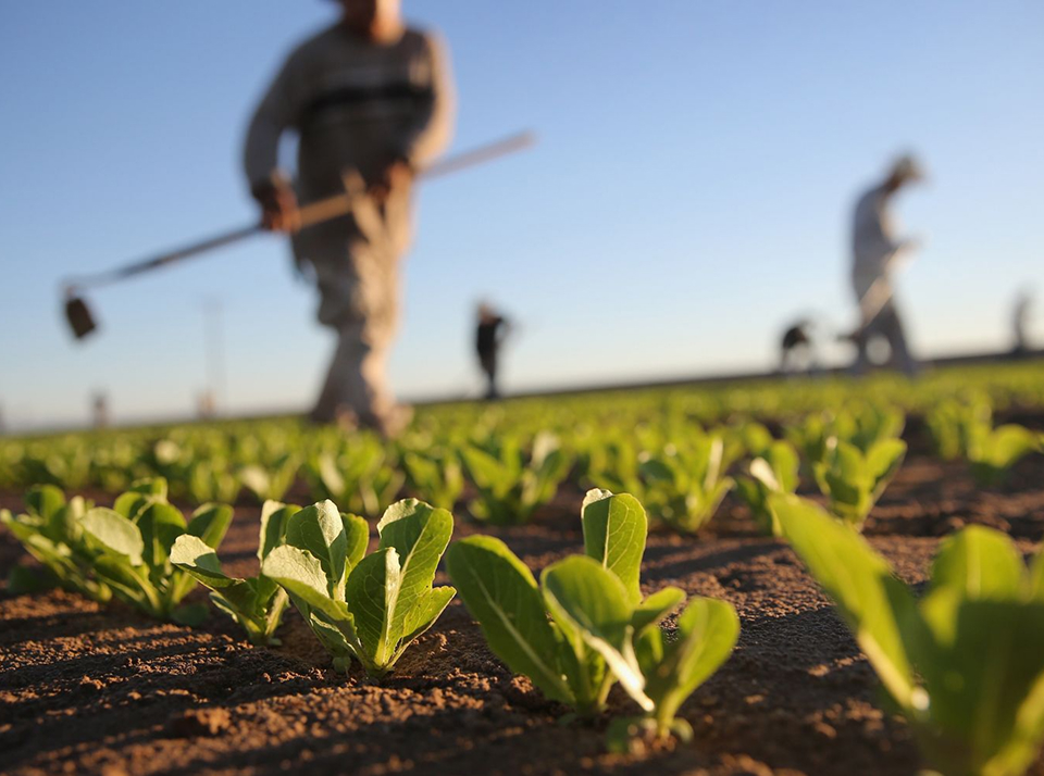 Возможные направления деятельности