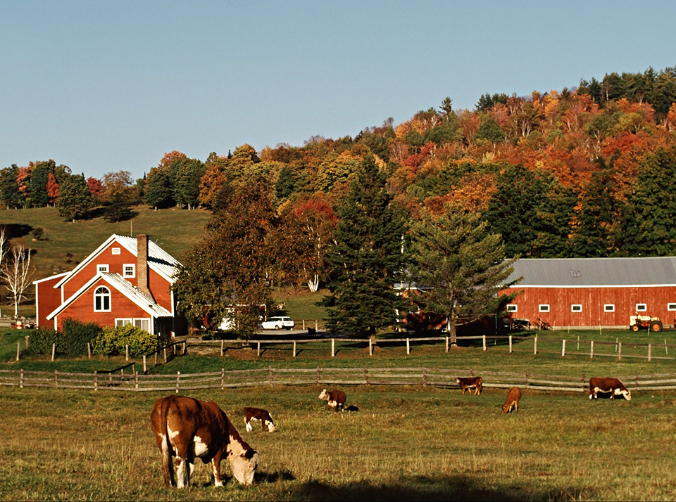Получение земли