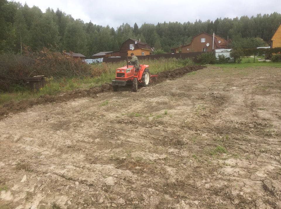 Часто задаваемые вопросы о культивации