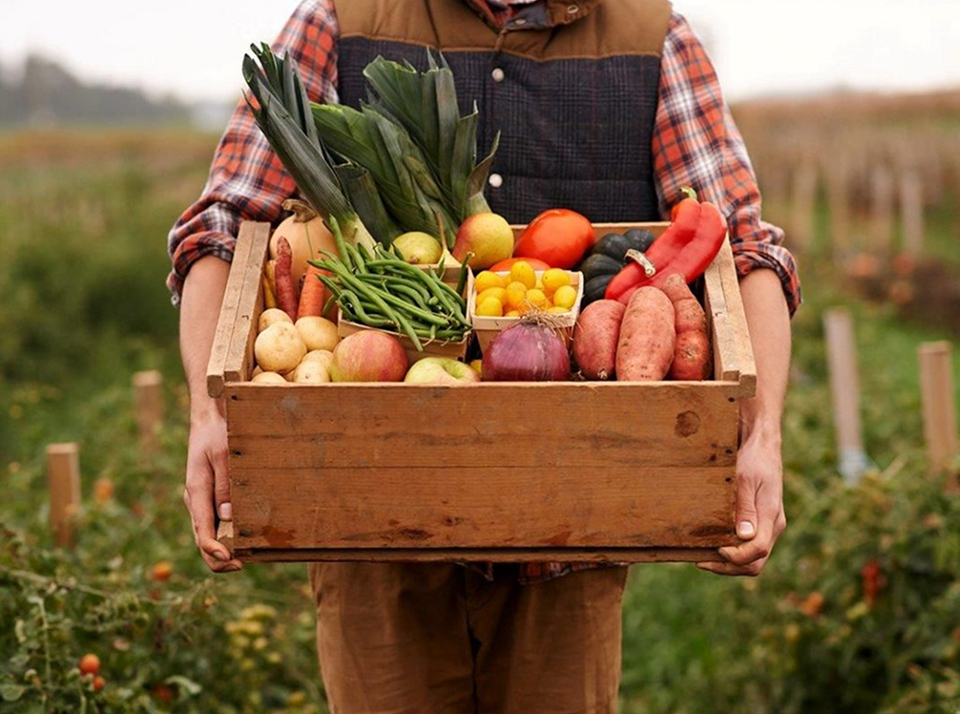 Можно ли продать участок земли для личного подсобного хозяйства?