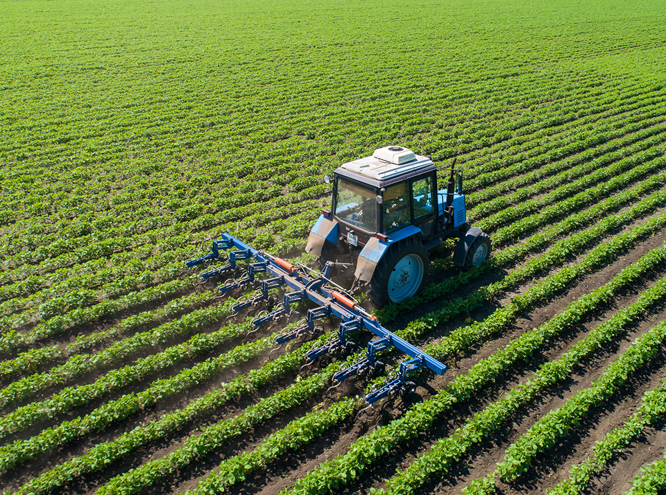 Что такое междурядная обработка почвы