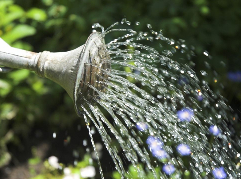 Особенности деятельности КФХ