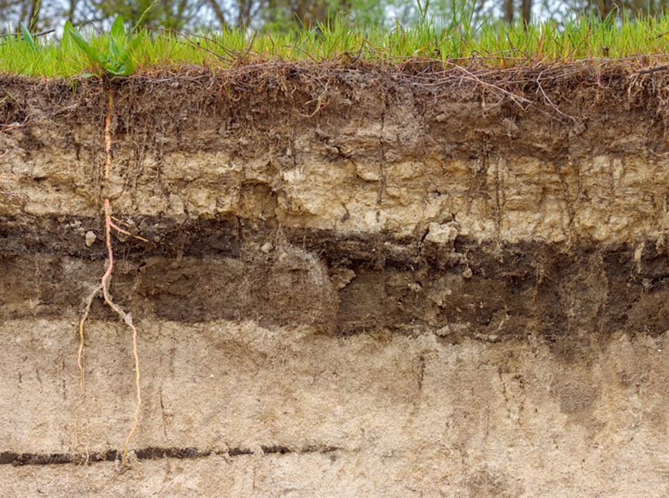 Образование плодородной почвы