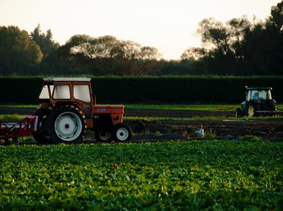 Требования к почвофрезам