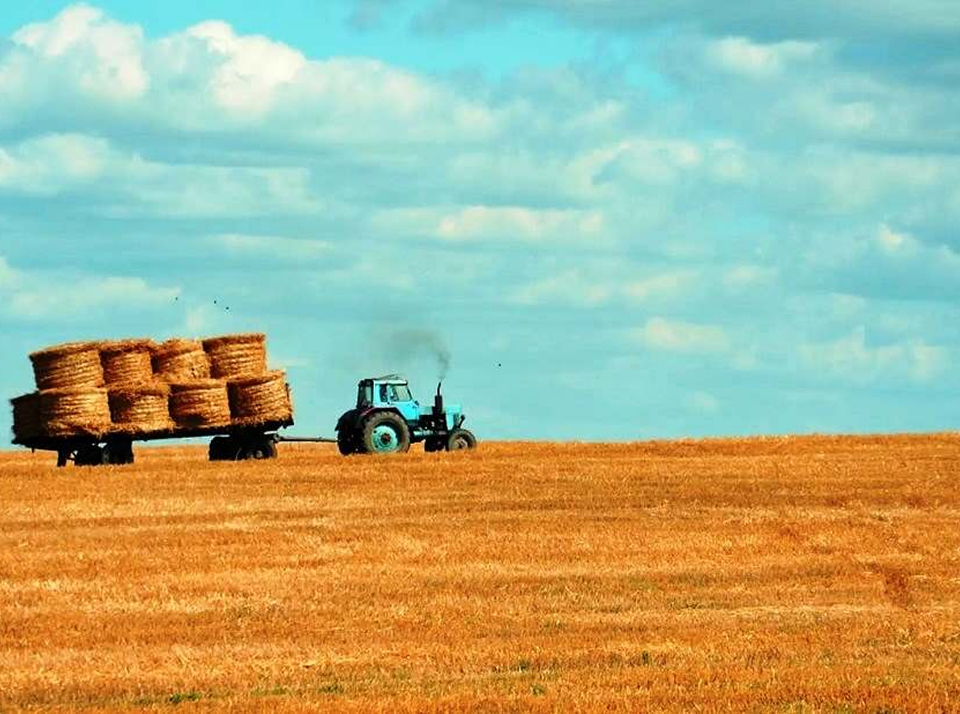 Права и обязанности КФХ