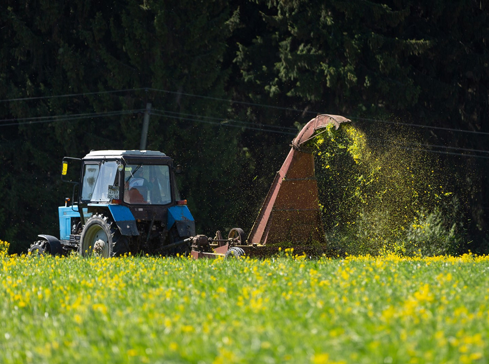 Что такое крестьянско-фермерское хозяйство