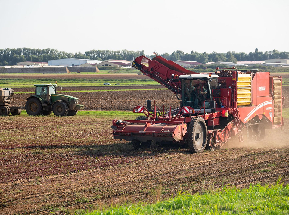 Направления развития сельского хозяйства в России