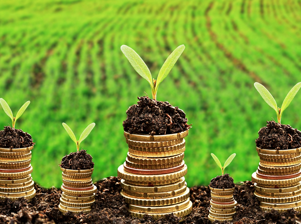 Состояние сельского хозяйства в России