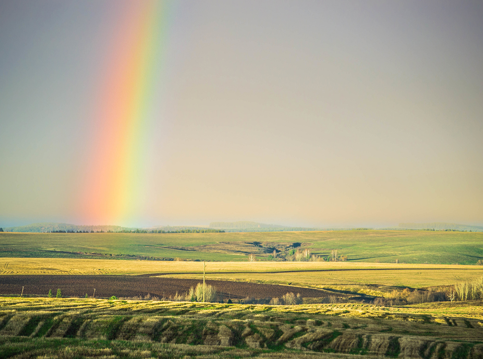Как перейти на ЕСХН в 2024 году