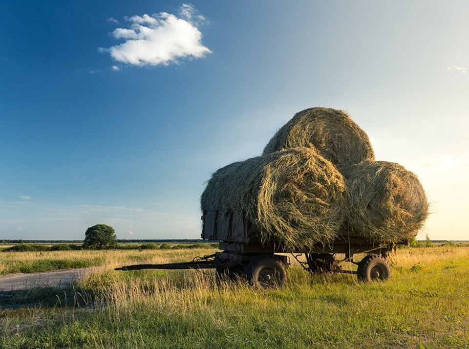 Какие налоги платят на ЕСХН