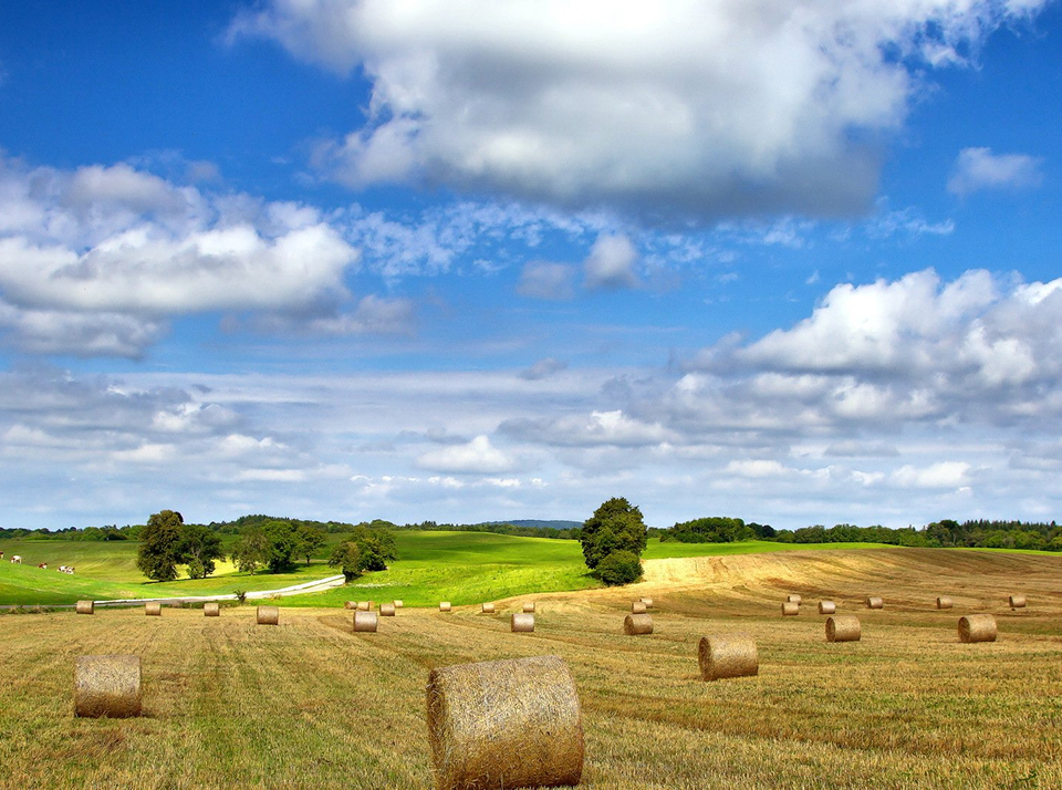 Порядок снятия с учета ЕСХН