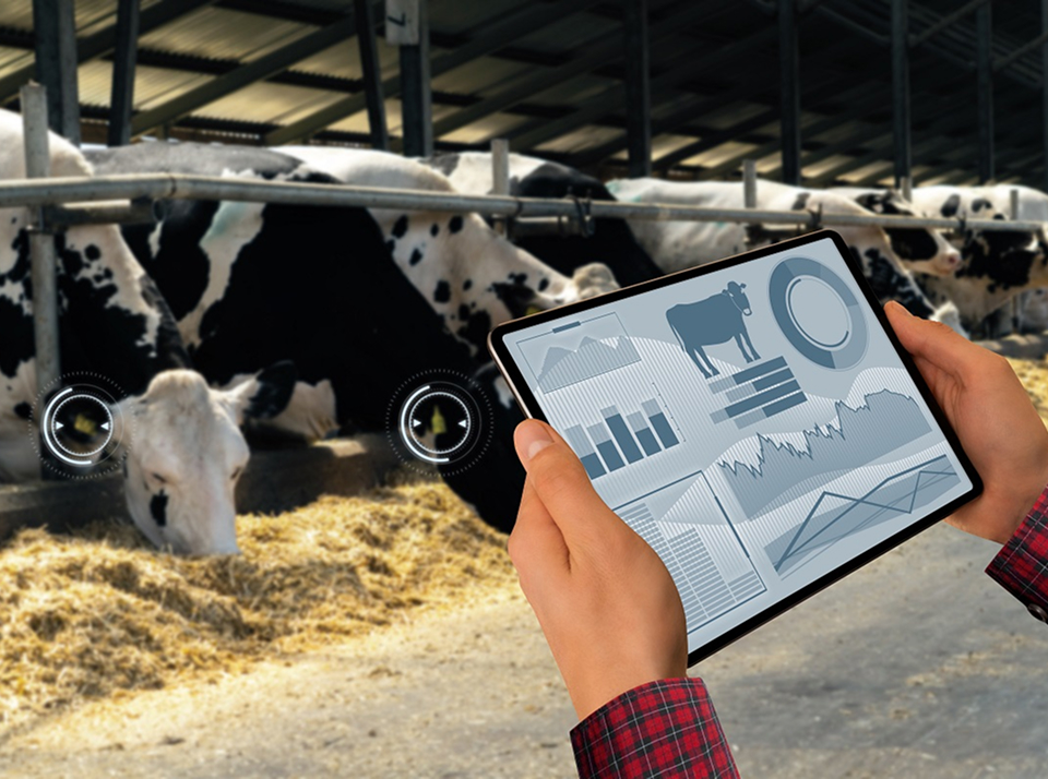 Использование техники в животноводстве