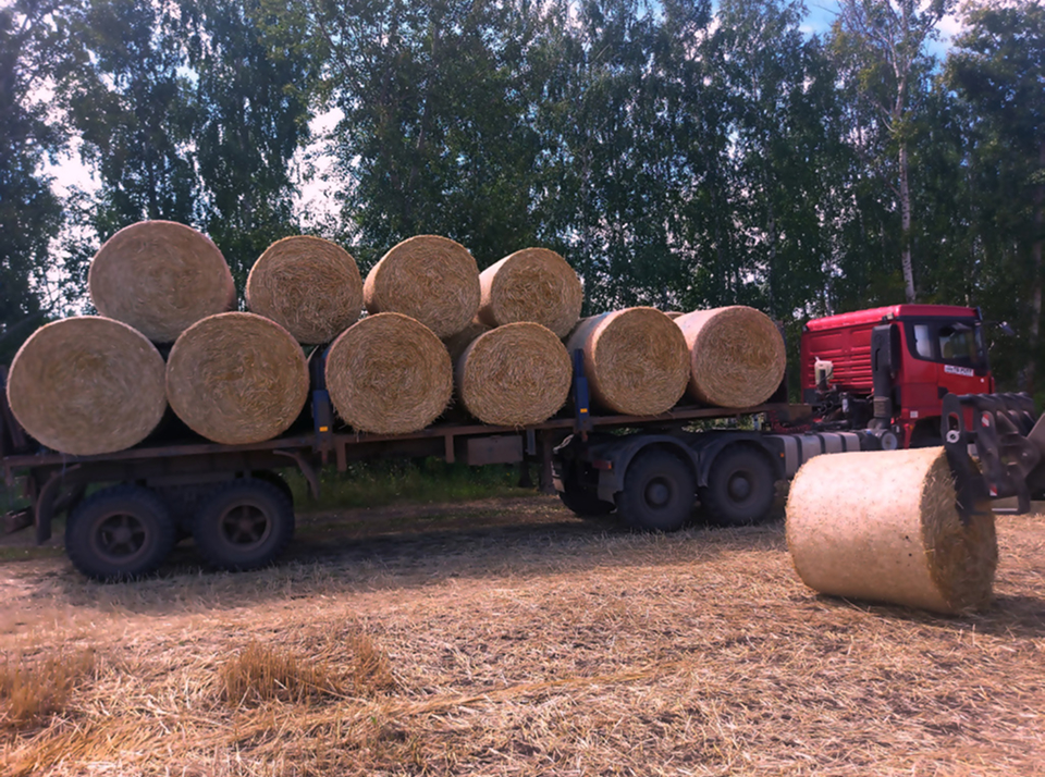 Особенности заготовки сена