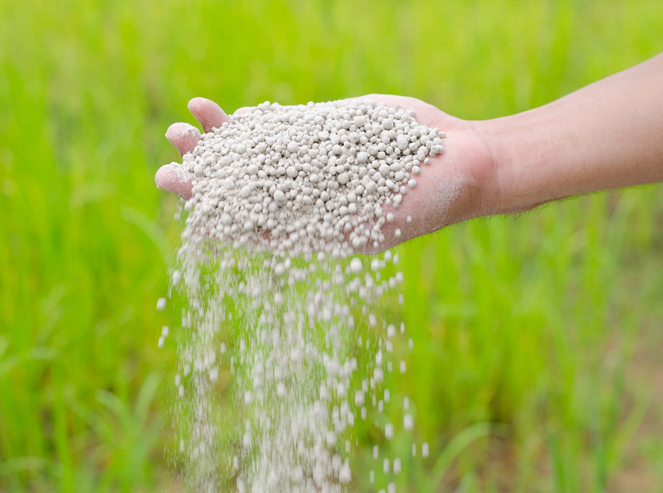 Технология внесения сыпучих туков