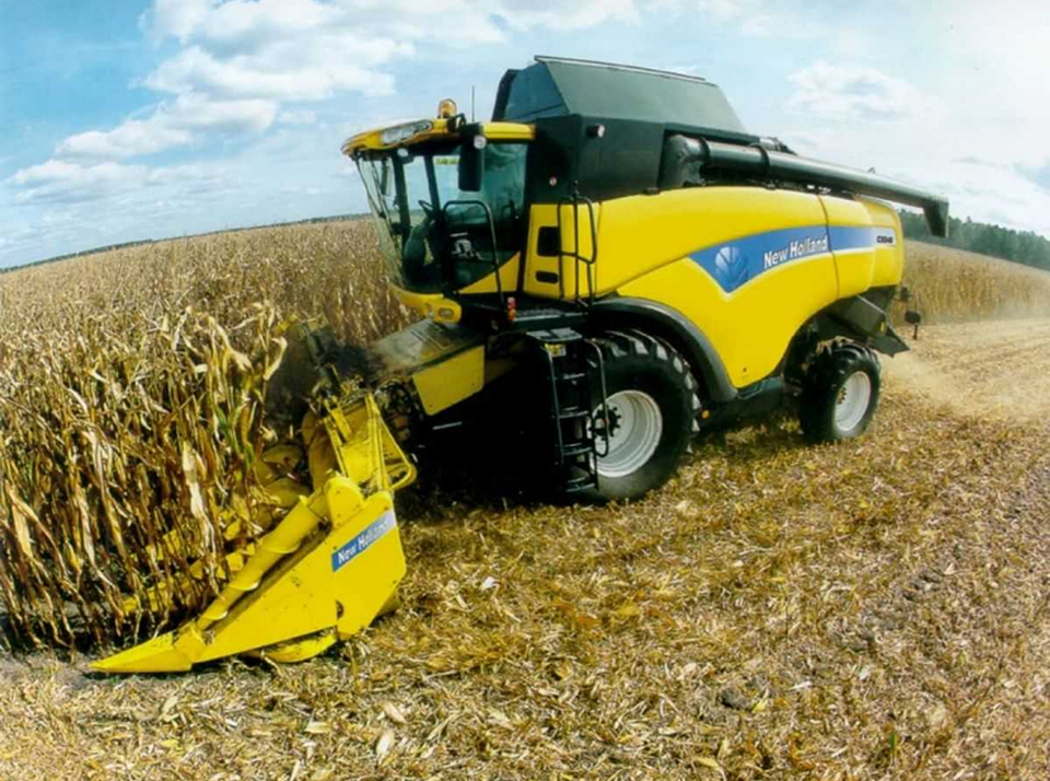 Особенности уборки кукурузы на силос и зерно