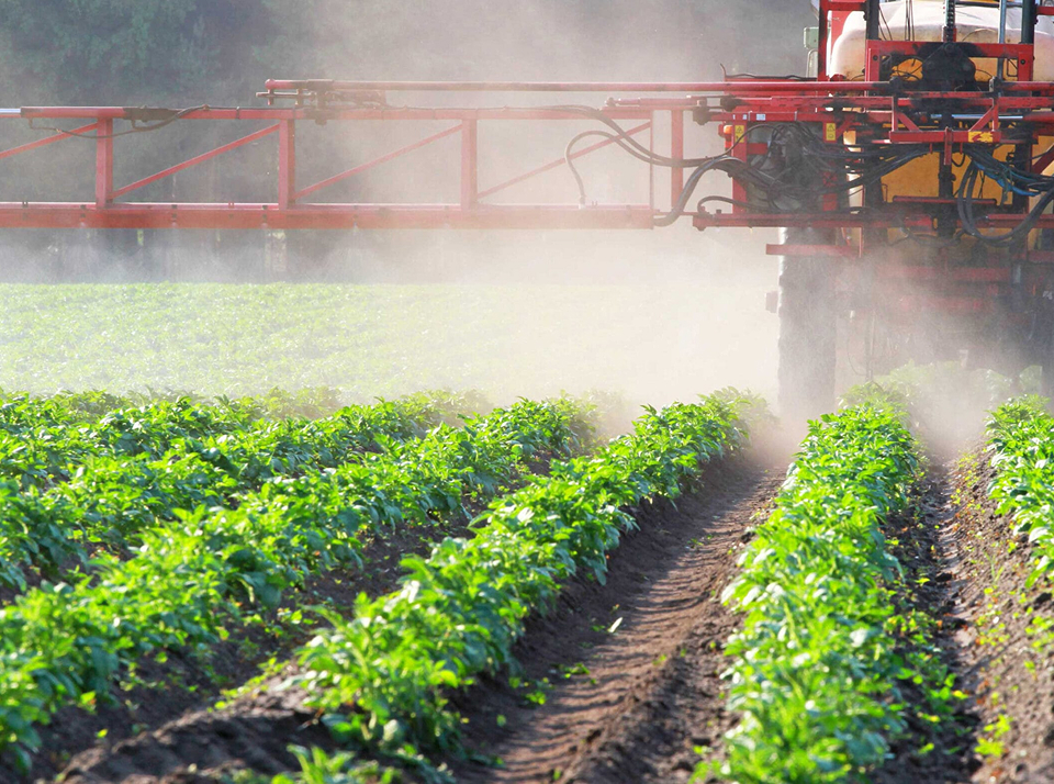 Обработка зерновых пестицидами