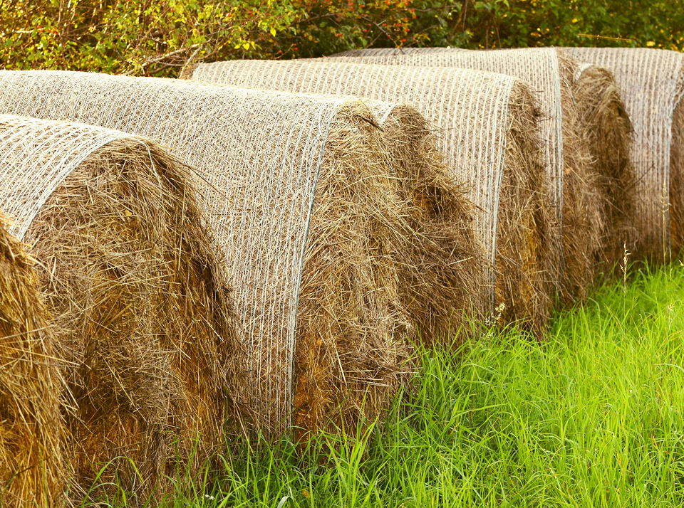 Понятие сенажа