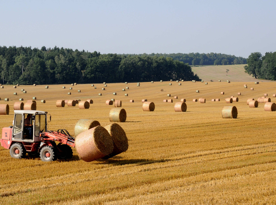 Регистрация крестьянско-фермерских хозяйств для получения участка