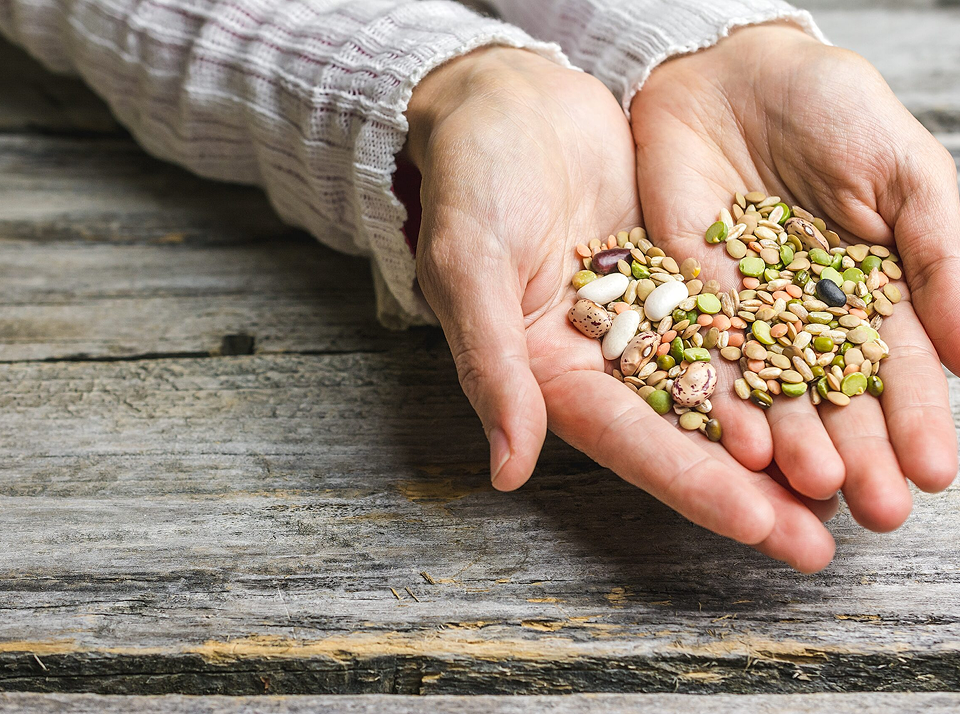 Основные виды систем земледелия