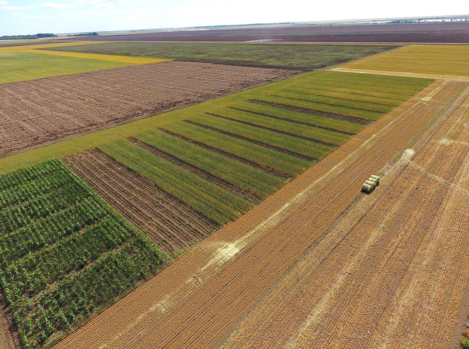 История развития систем земледелия