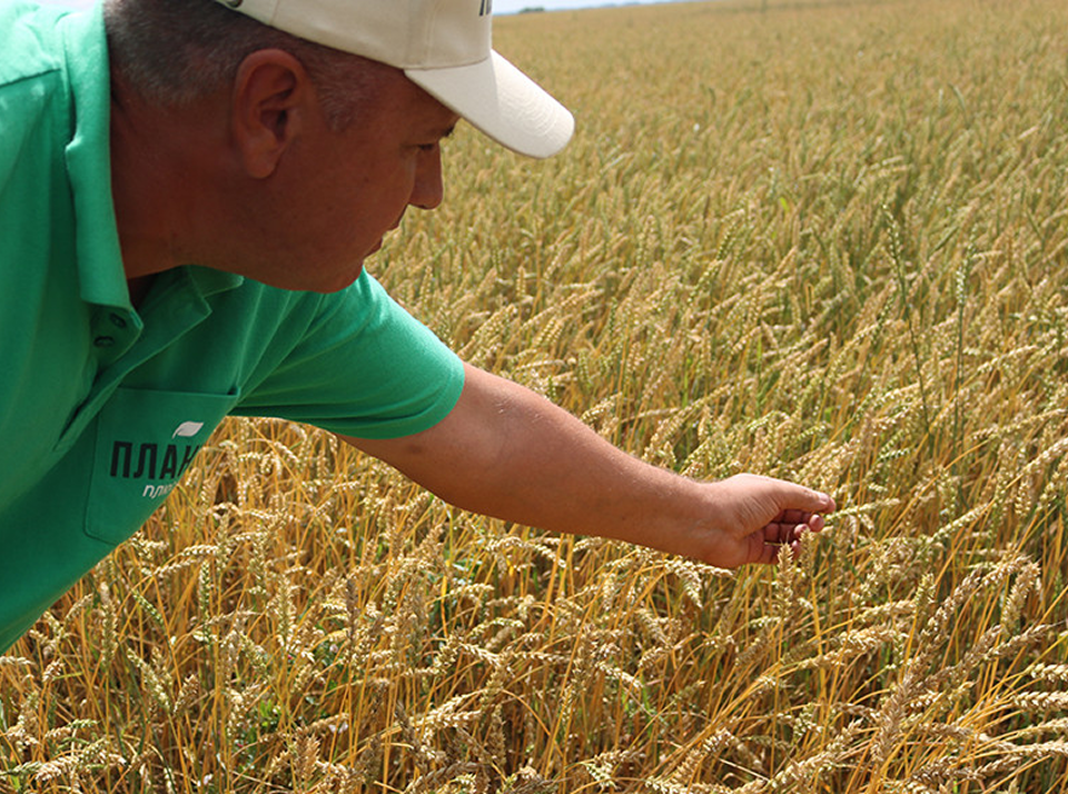 Основные принципы природного земледелия